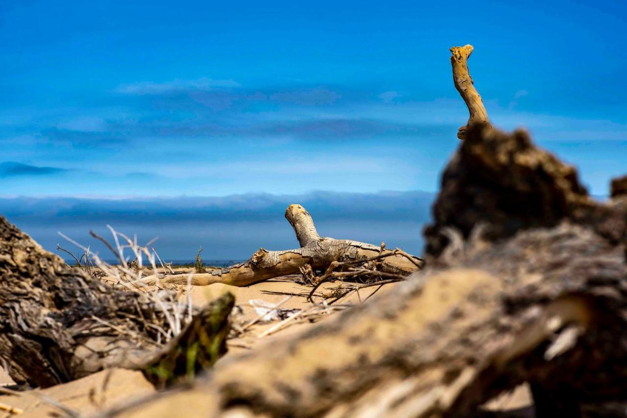 Shipwreck Lodge Mowebaai Ngoại thất bức ảnh